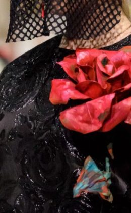 20180324_SergeySysoevfw18_details-048 – с эффектами