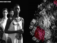 ZHOSTOVO by SERGEY SYSOEV